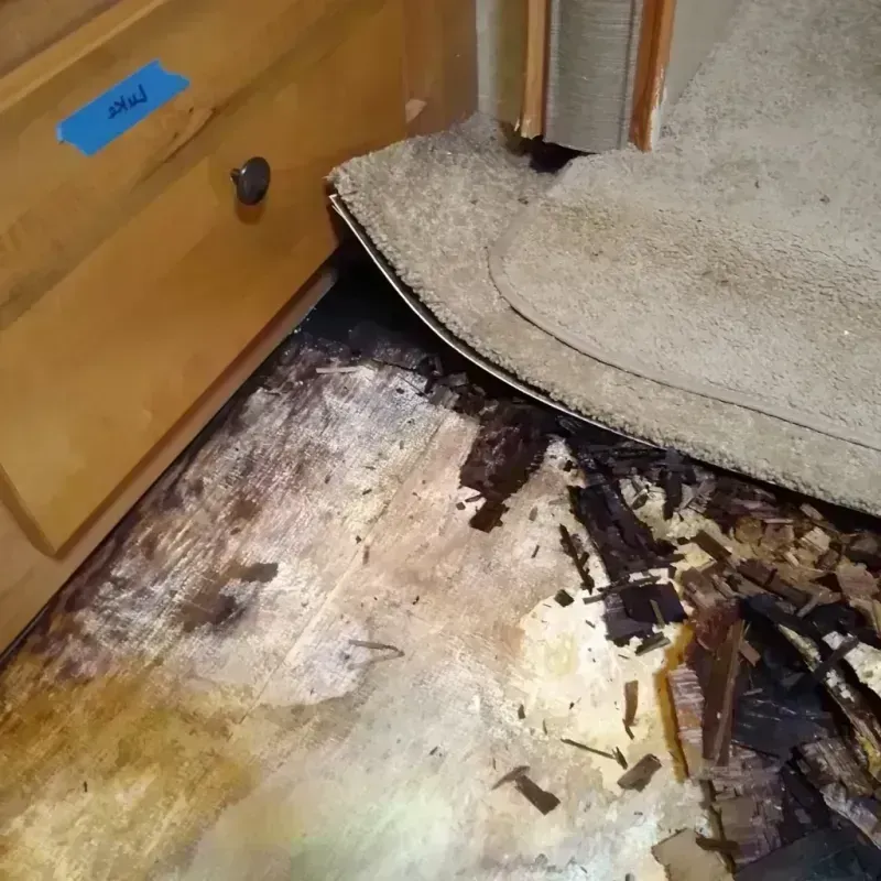 Best Wood Floor Water Damage Service in Cool Valley, MO